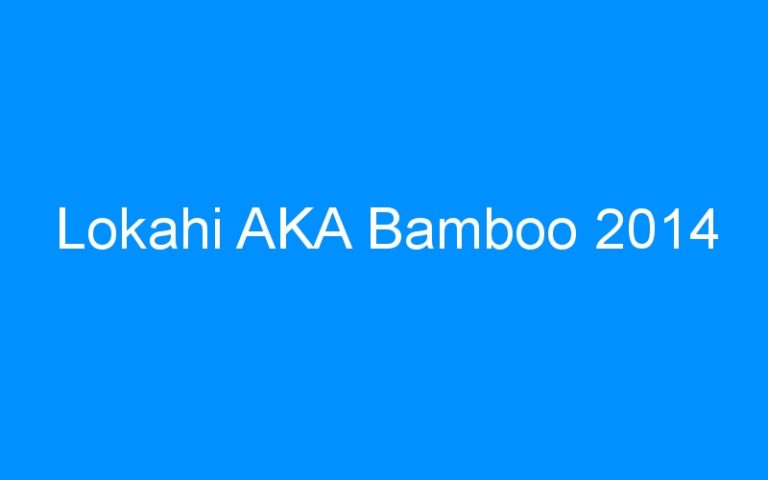 Lire la suite à propos de l’article Lokahi AKA Bamboo 2014