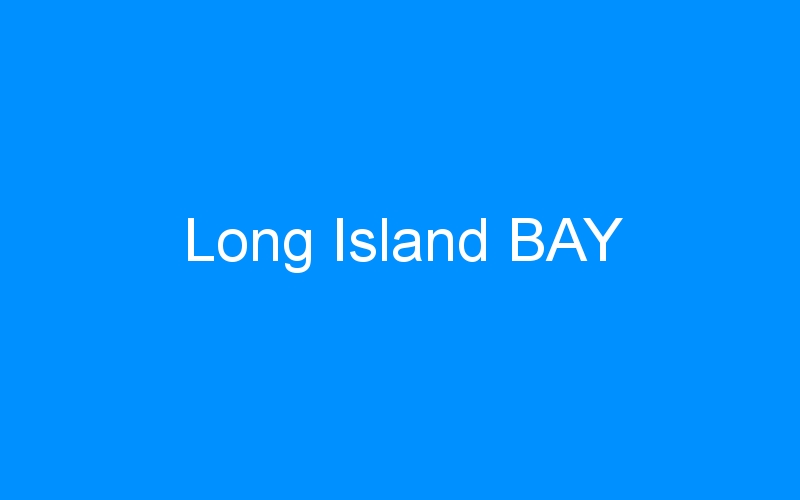 You are currently viewing Long Island BAY