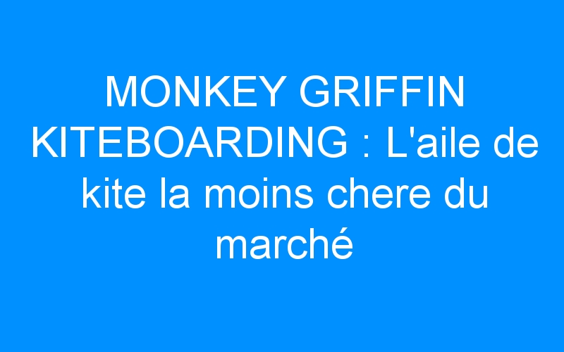You are currently viewing MONKEY GRIFFIN KITEBOARDING : L’aile de kite la moins chere du marché