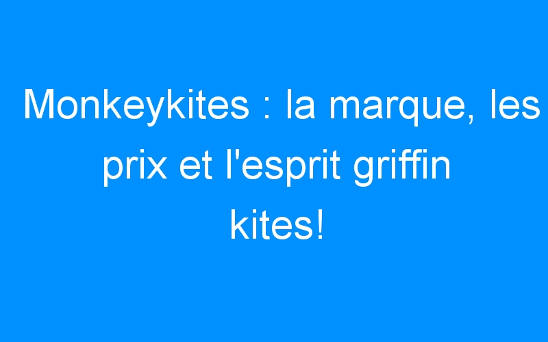 You are currently viewing Monkeykites : la marque, les prix et l’esprit griffin kites!