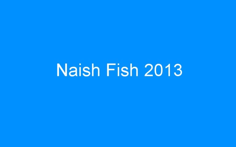 Lire la suite à propos de l’article Naish Fish 2013