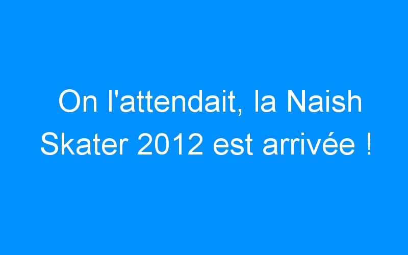 You are currently viewing On l’attendait, la Naish Skater 2012 est arrivée !