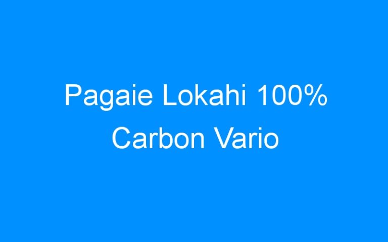 Lire la suite à propos de l’article Pagaie Lokahi 100% Carbon Vario