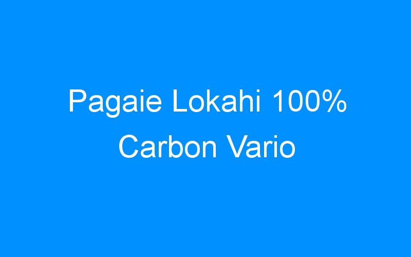 Pagaie Lokahi 100% Carbon Vario