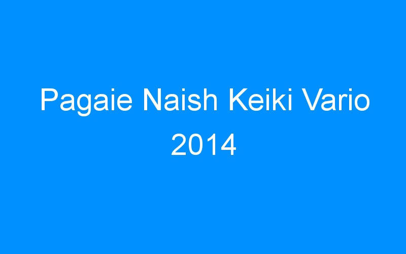 Pagaie Naish Keiki Vario 2014