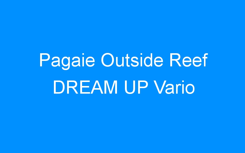 You are currently viewing Pagaie Outside Reef DREAM UP Vario