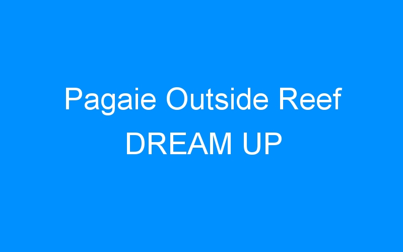 You are currently viewing Pagaie Outside Reef DREAM UP