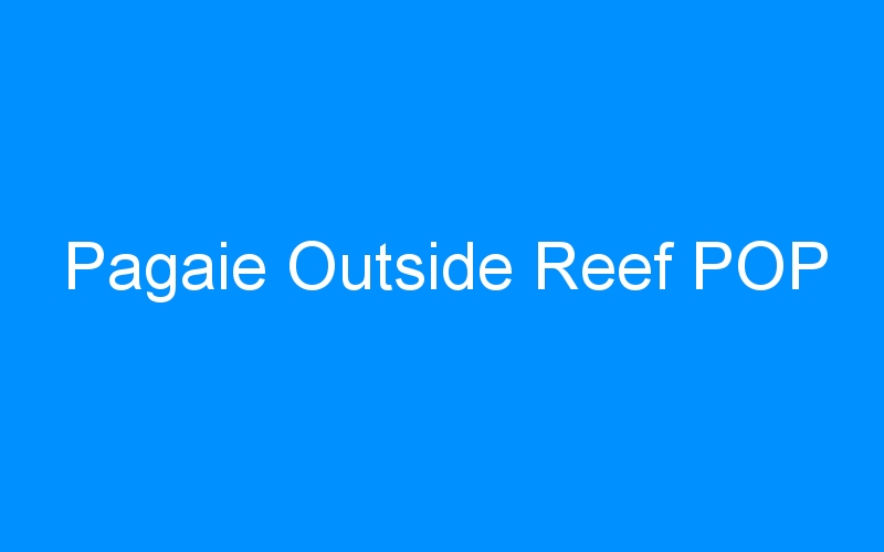 You are currently viewing Pagaie Outside Reef POP