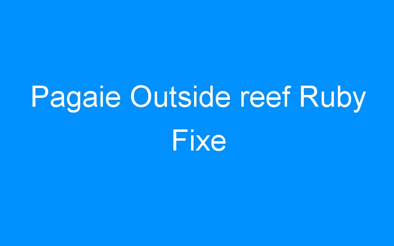 You are currently viewing Pagaie Outside reef Ruby Fixe