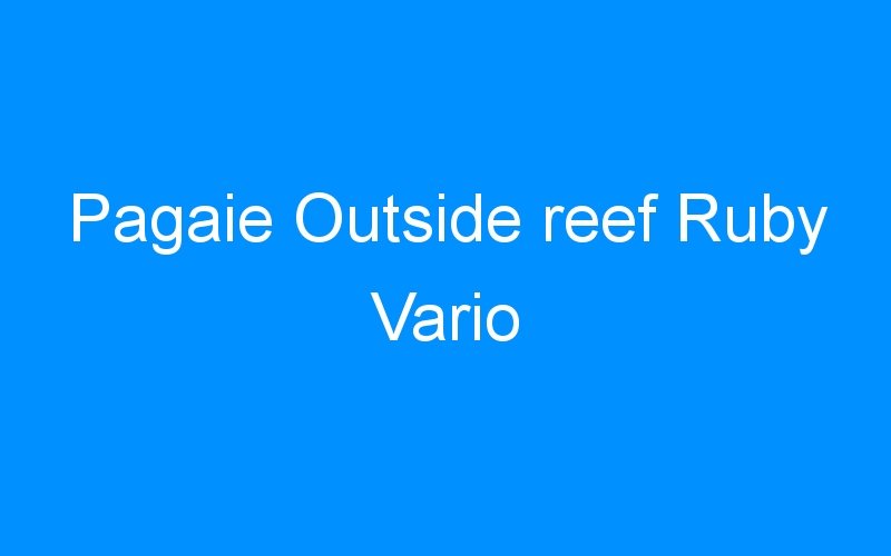 You are currently viewing Pagaie Outside reef Ruby Vario