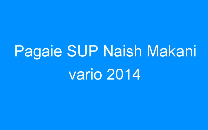 You are currently viewing Pagaie SUP Naish Makani vario 2014