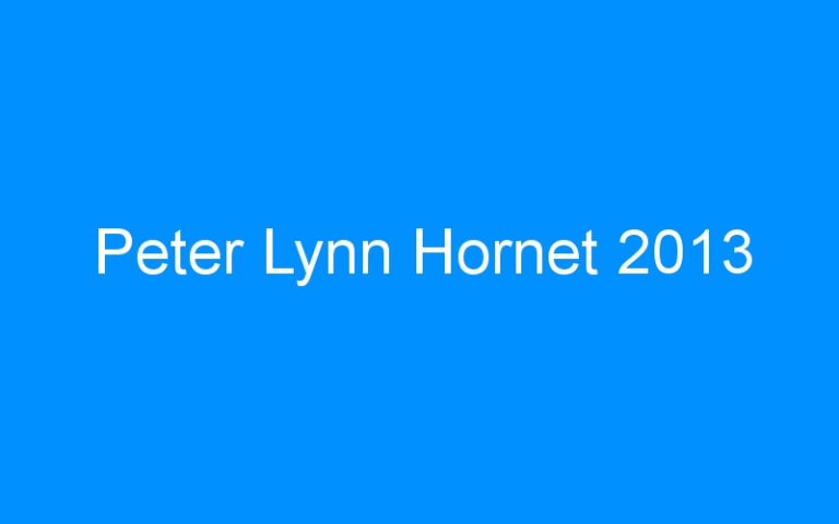 Lire la suite à propos de l’article Peter Lynn Hornet 2013