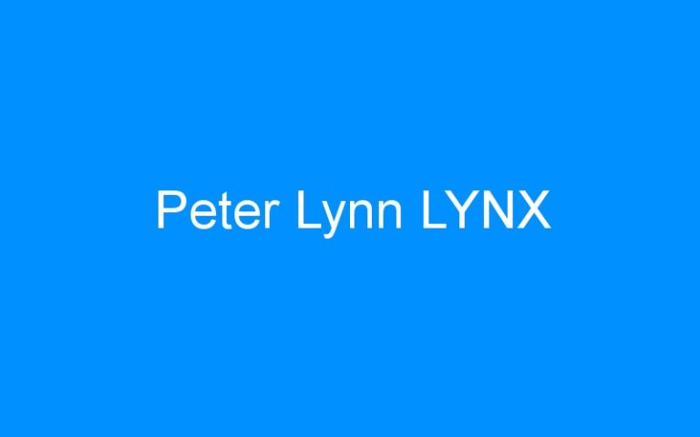 Lire la suite à propos de l’article Peter Lynn LYNX
