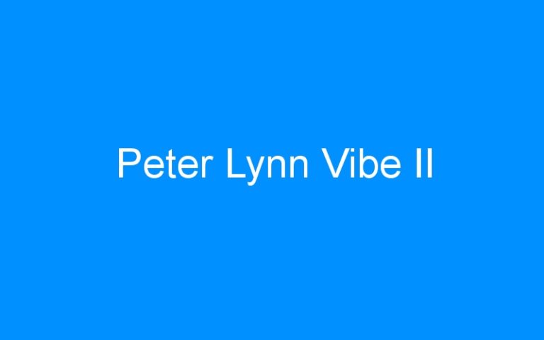 Lire la suite à propos de l’article Peter Lynn Vibe II