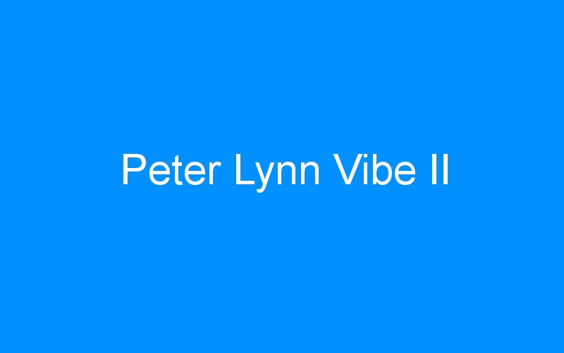 You are currently viewing Peter Lynn Vibe II