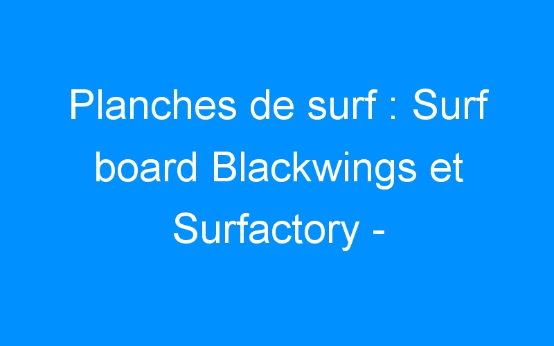 You are currently viewing Planches de surf : Surf board Blackwings et Surfactory – Destock-Cycle.fr