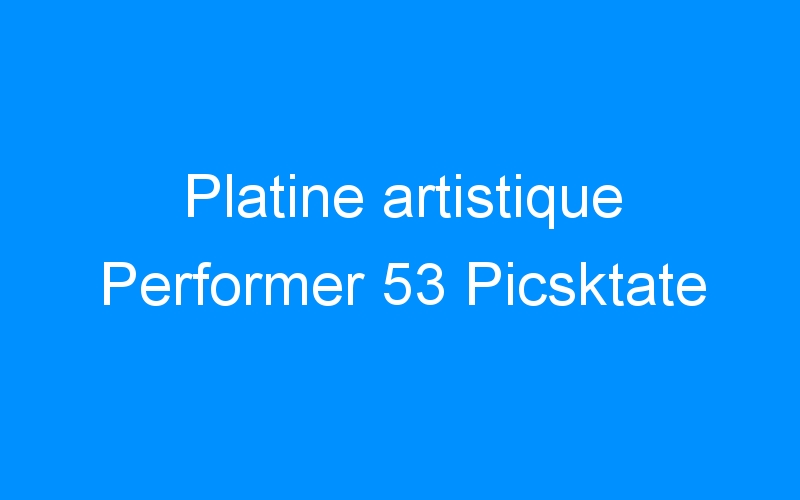 You are currently viewing Platine artistique Performer 53 Picsktate
