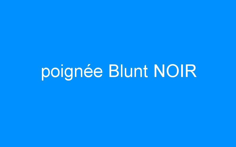 You are currently viewing poignée Blunt NOIR