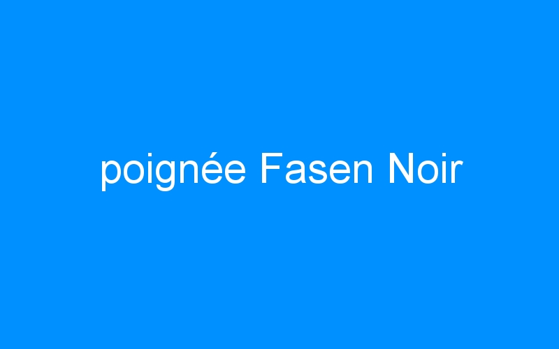 You are currently viewing poignée Fasen Noir