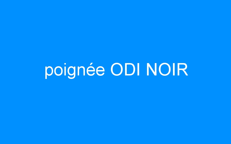 You are currently viewing poignée ODI NOIR