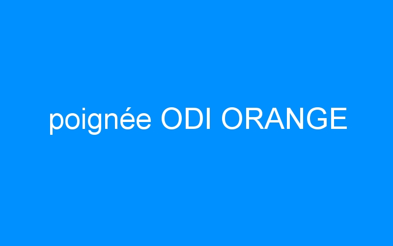You are currently viewing poignée ODI ORANGE