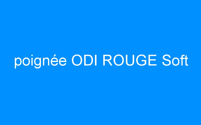 You are currently viewing poignée ODI ROUGE Soft