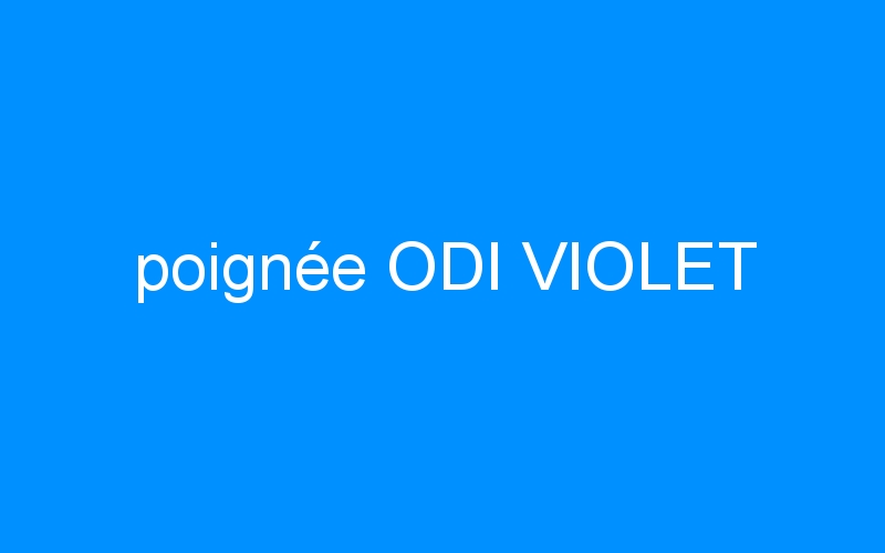 You are currently viewing poignée ODI VIOLET
