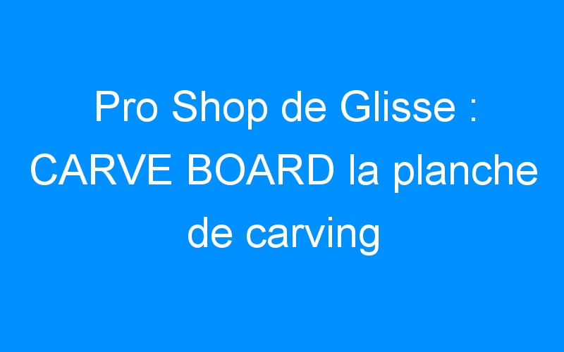 You are currently viewing Pro Shop de Glisse : CARVE BOARD la planche de carving