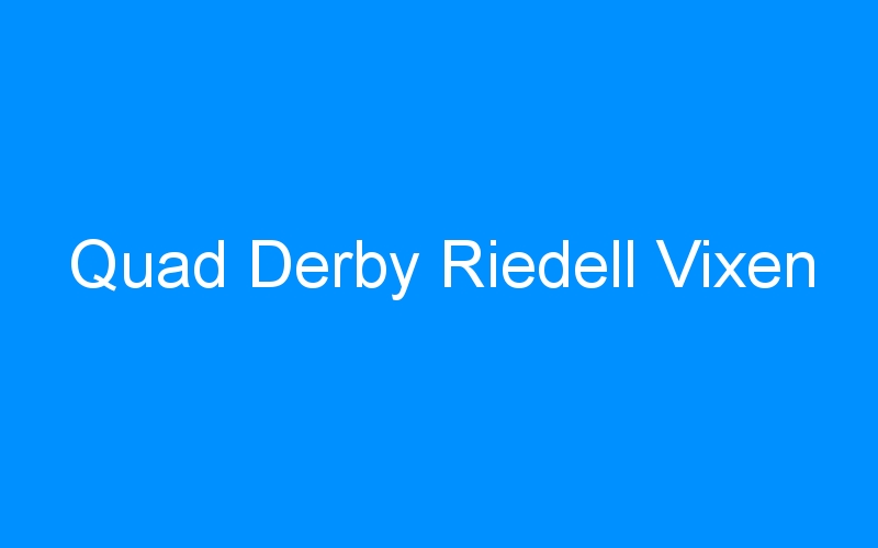 You are currently viewing Quad Derby Riedell Vixen