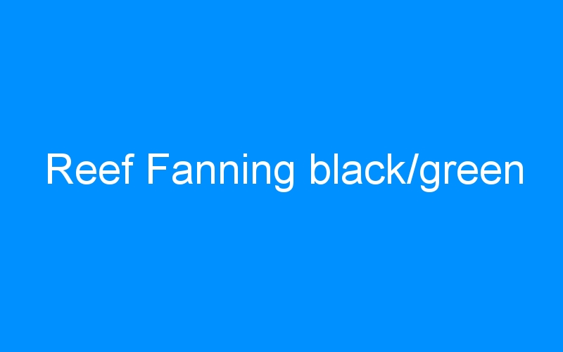 You are currently viewing Reef Fanning black/green