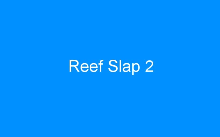 Lire la suite à propos de l’article Reef Slap 2