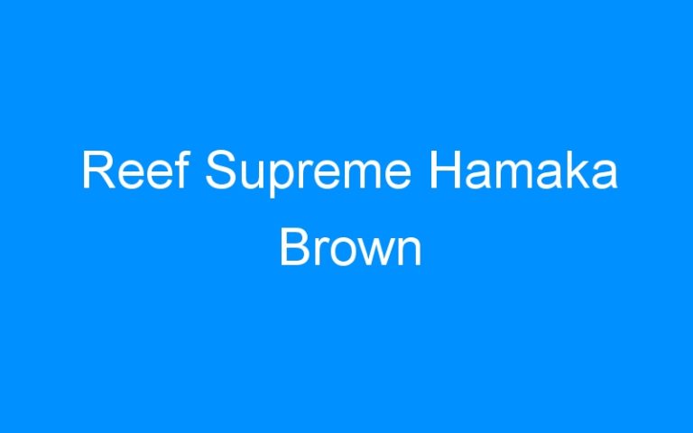 Lire la suite à propos de l’article Reef Supreme Hamaka Brown