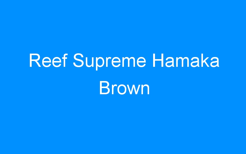 You are currently viewing Reef Supreme Hamaka Brown
