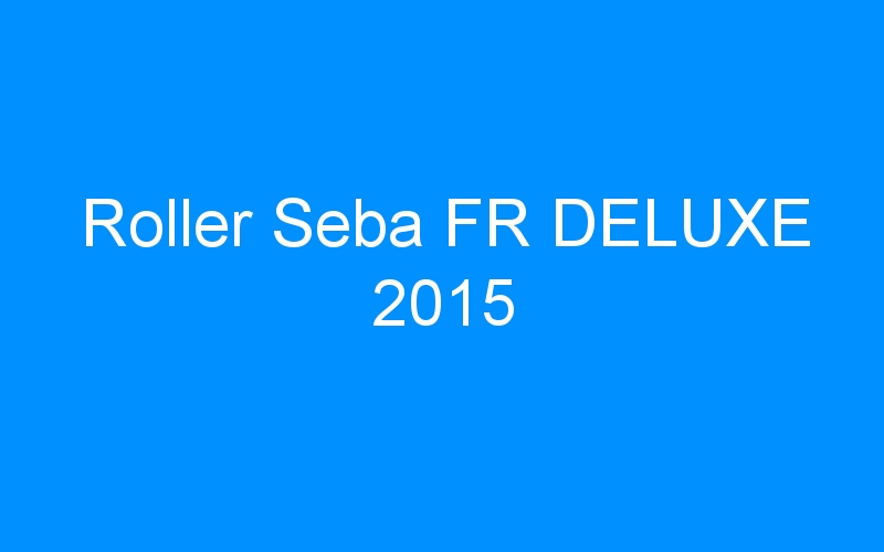 You are currently viewing Roller Seba FR DELUXE 2015