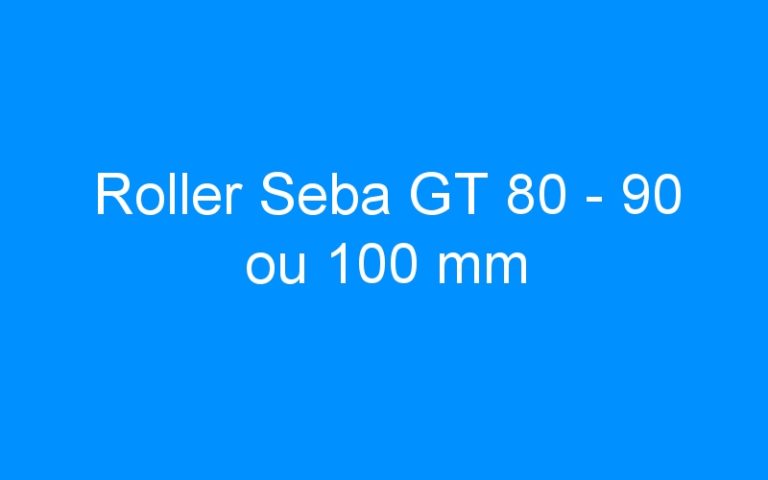 Lire la suite à propos de l’article Roller Seba GT 80 – 90 ou 100 mm