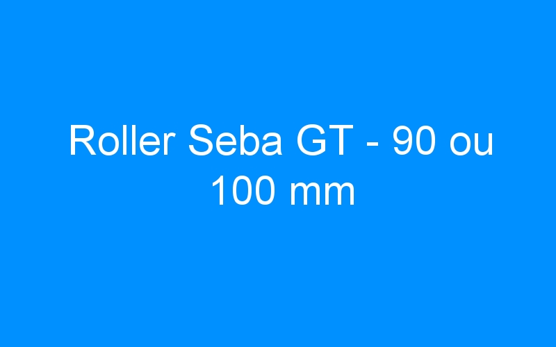You are currently viewing Roller Seba GT – 90 ou 100 mm