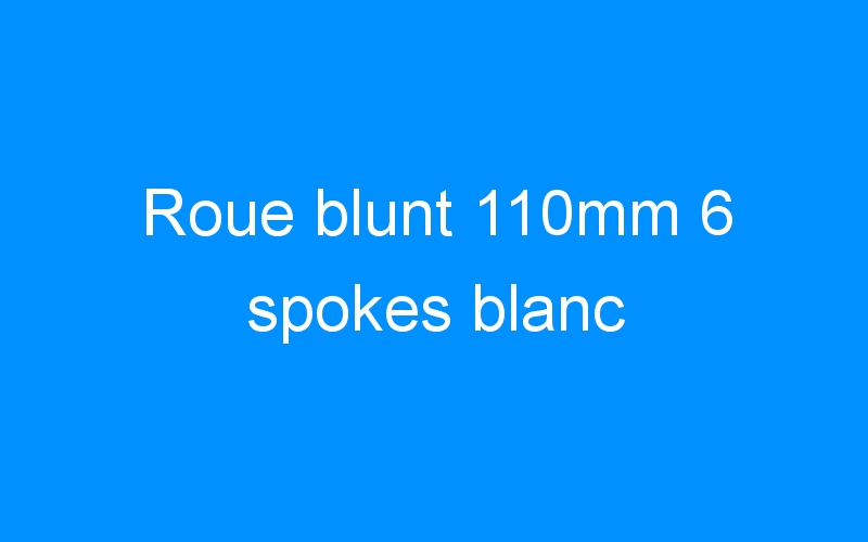 You are currently viewing Roue blunt 110mm 6 spokes blanc