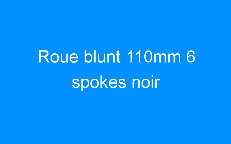 You are currently viewing Roue blunt 110mm 6 spokes noir