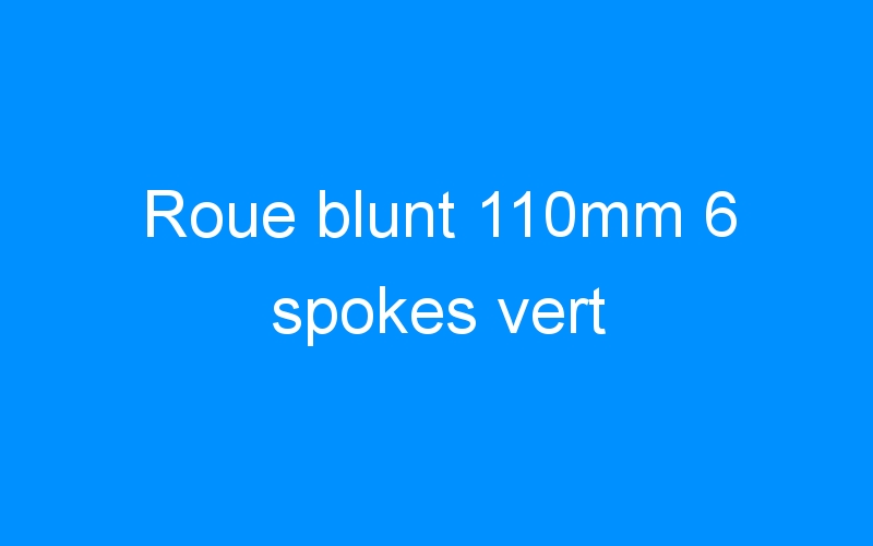 You are currently viewing Roue blunt 110mm 6 spokes vert