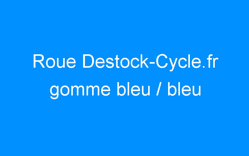 You are currently viewing Roue Destock-Cycle.fr gomme bleu / bleu
