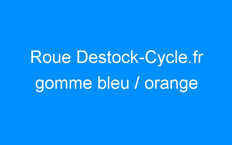 You are currently viewing Roue Destock-Cycle.fr gomme bleu / orange