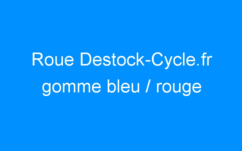 You are currently viewing Roue Destock-Cycle.fr gomme bleu / rouge