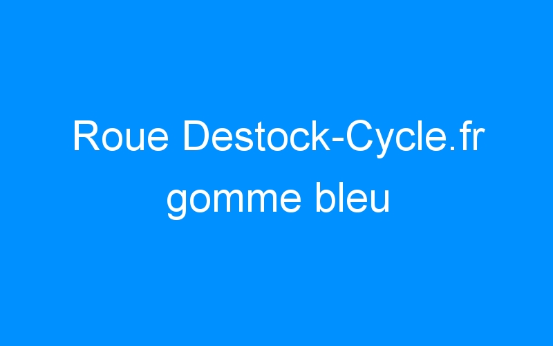 You are currently viewing Roue Destock-Cycle.fr gomme bleu