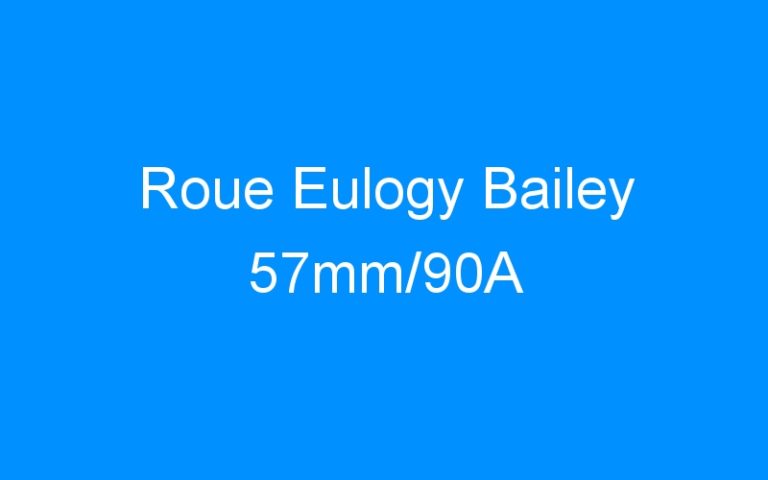 Lire la suite à propos de l’article Roue Eulogy Bailey 57mm/90A