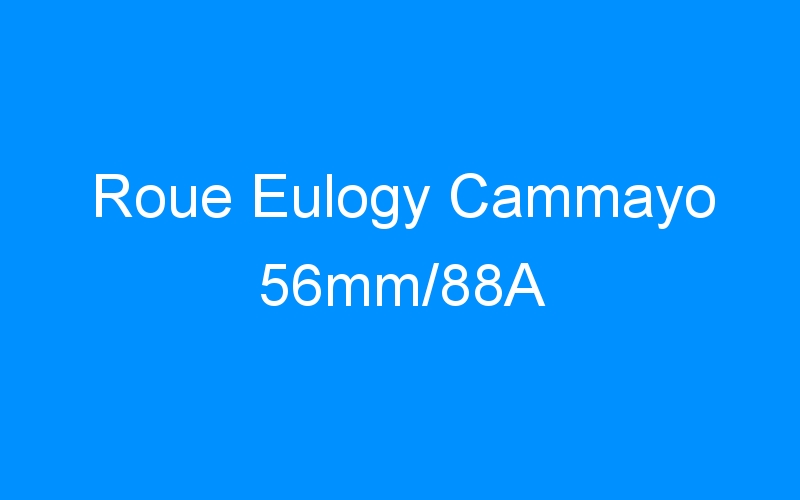 You are currently viewing Roue Eulogy Cammayo 56mm/88A
