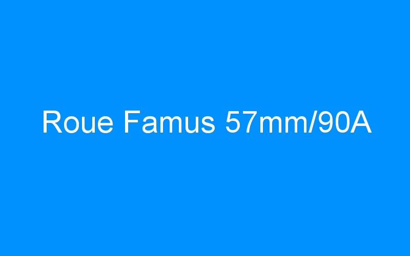 You are currently viewing Roue Famus 57mm/90A