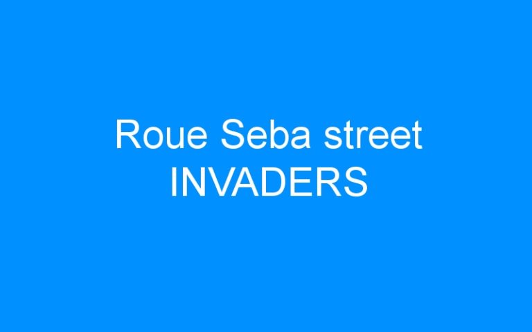 Roue Seba street INVADERS