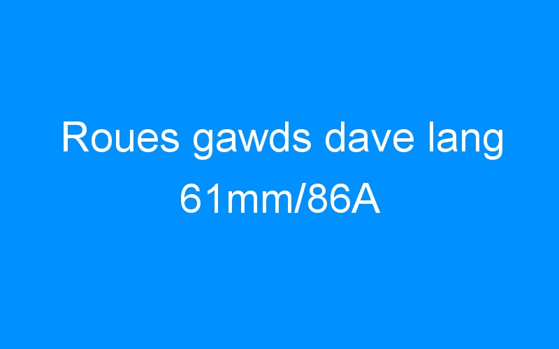 You are currently viewing Roues gawds dave lang 61mm/86A