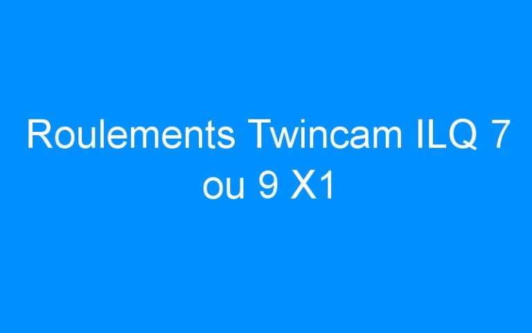 Lire la suite à propos de l’article Roulements Twincam ILQ 7 ou 9 X1