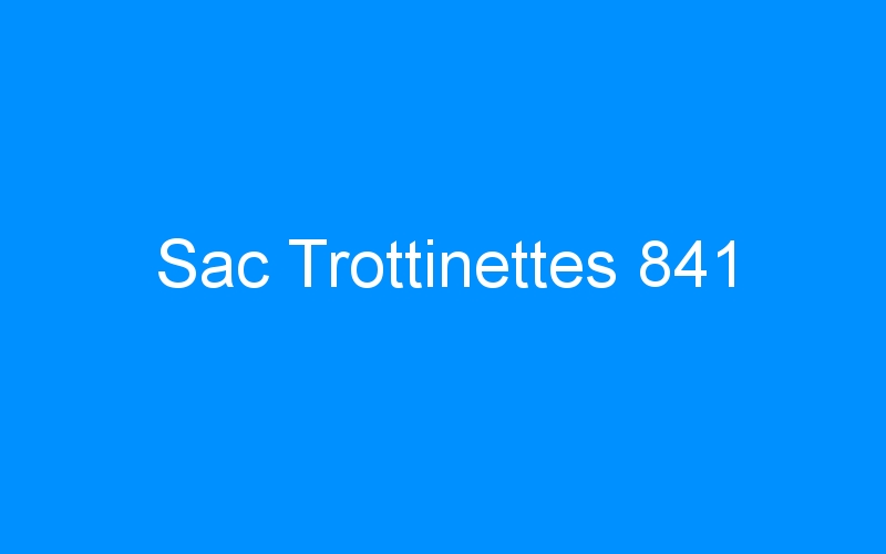 Sac Trottinettes 841
